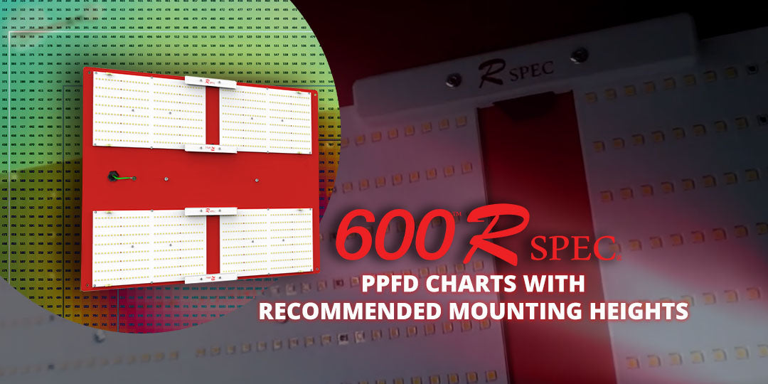 HLG 600 Rspec PPFD Charts at different heights Horticulture Lighting