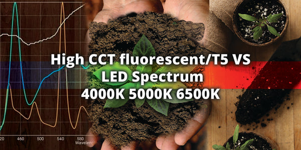 High CCT fluorescent/T5 VS LED Spectrum 4000K 5000K 6500K