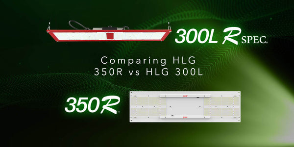 Comparing HLG 350R vs HLG 300L Rspec