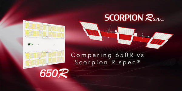 Comparing 650R vs Scorpion R spec®