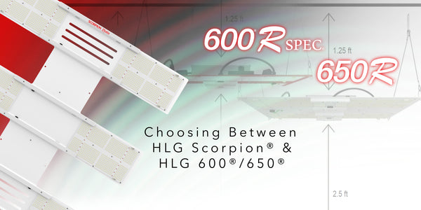 Choosing Between HLG Scorpion® and HLG 600/650