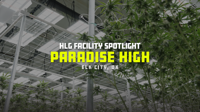 Paradise High