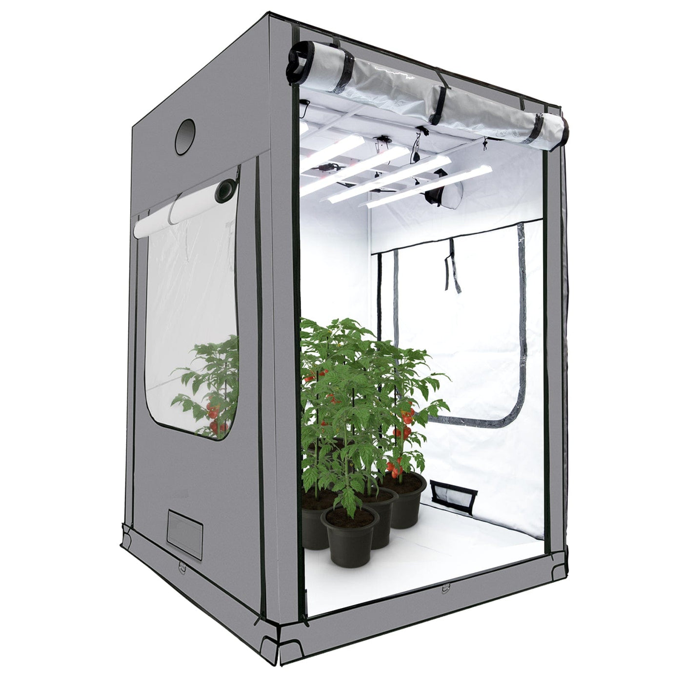 hydroponic grow tent