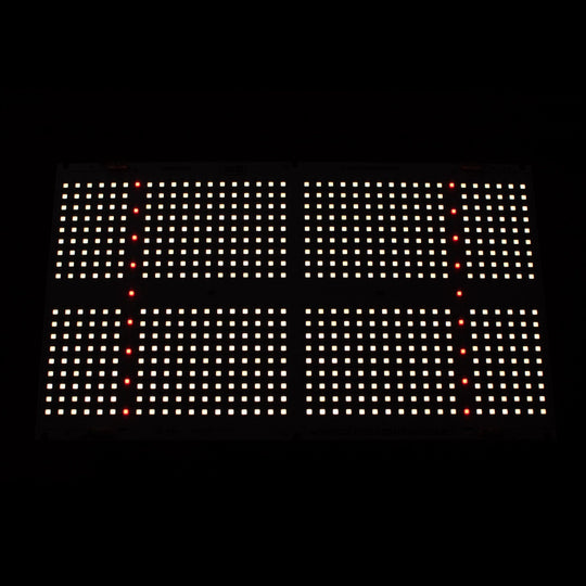 648black_540x.jpg?v=1585857371