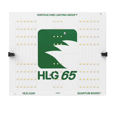HLG HLG 65 V2