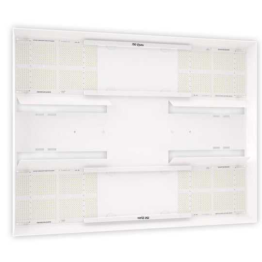 HLG750Diablo_angle2_7286e680-